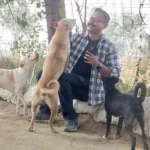 Daan India's Commitment to Animal Welfare